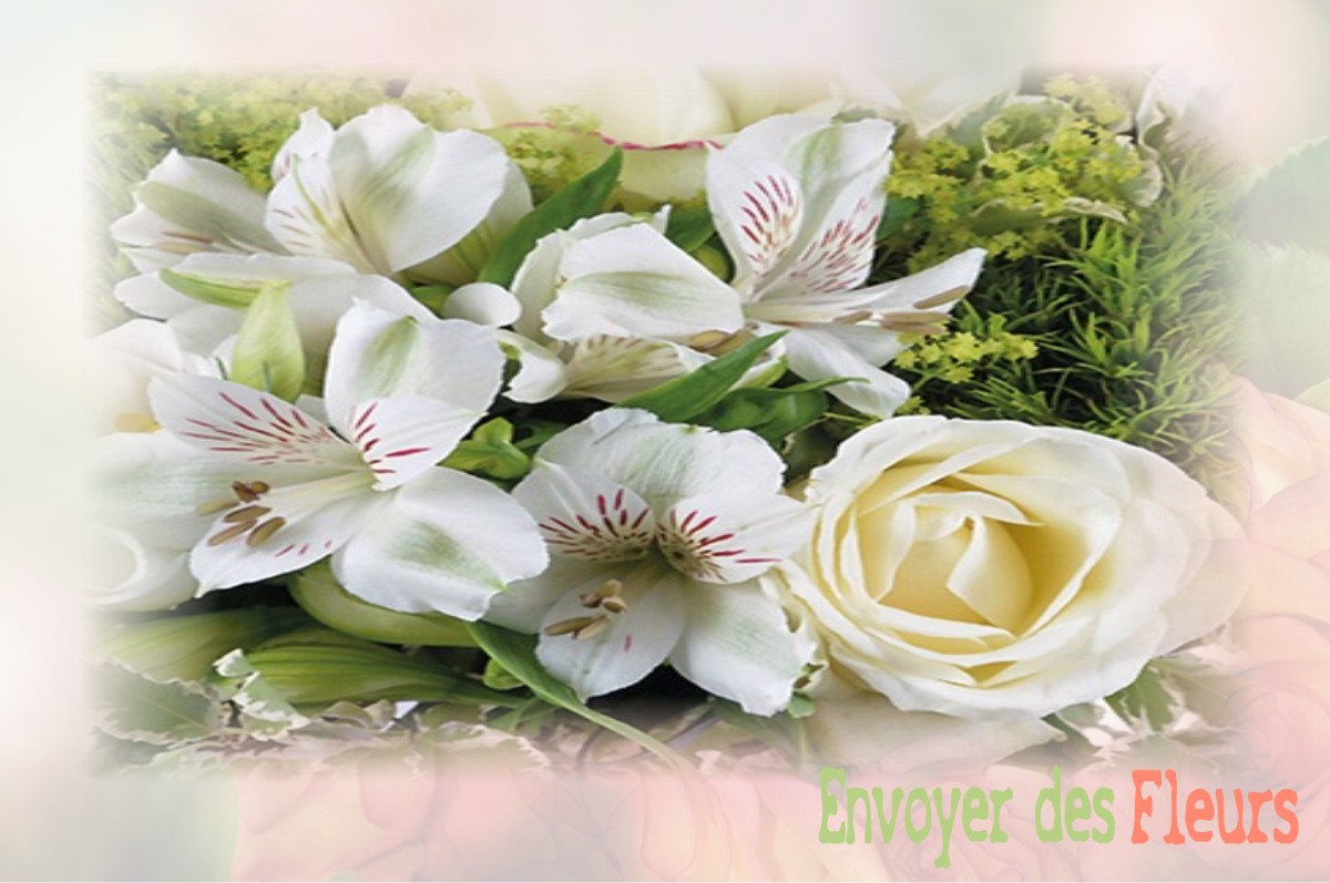 envoyer des fleurs à à SAINT-ETIENNE-DE-SERRE